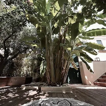 Naiada - 3 Bedrooms In Center