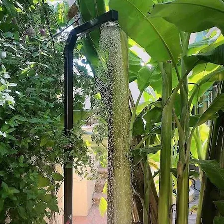 Apartment Naiada - 3 Bedrooms In Center Lefkada City