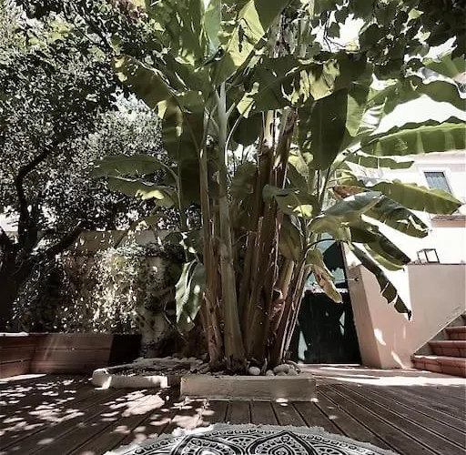 Naiada - 3 Bedrooms In Center